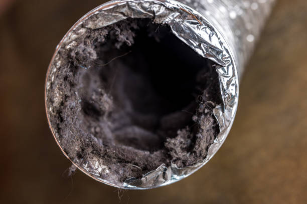 Best Affordable HVAC Duct Cleaning  in Spring Hill, TN
